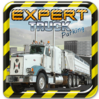 Expert Truck Parking 3D Games icon