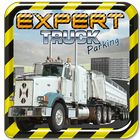 Expert Truck Parking 3D Games icône