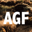 Amazing Grace Fellowship Intl. - FORT MOHAVE, AZ