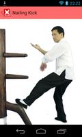 Wing Chun Glossary 스크린샷 2