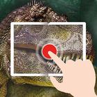 TapADot-Dinosaurs simgesi