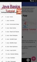 Learn JavaBasics screenshot 2