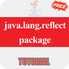 Java lang reflect icon