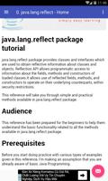 Java lang reflect capture d'écran 2