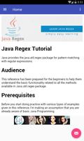 Java Regex screenshot 1