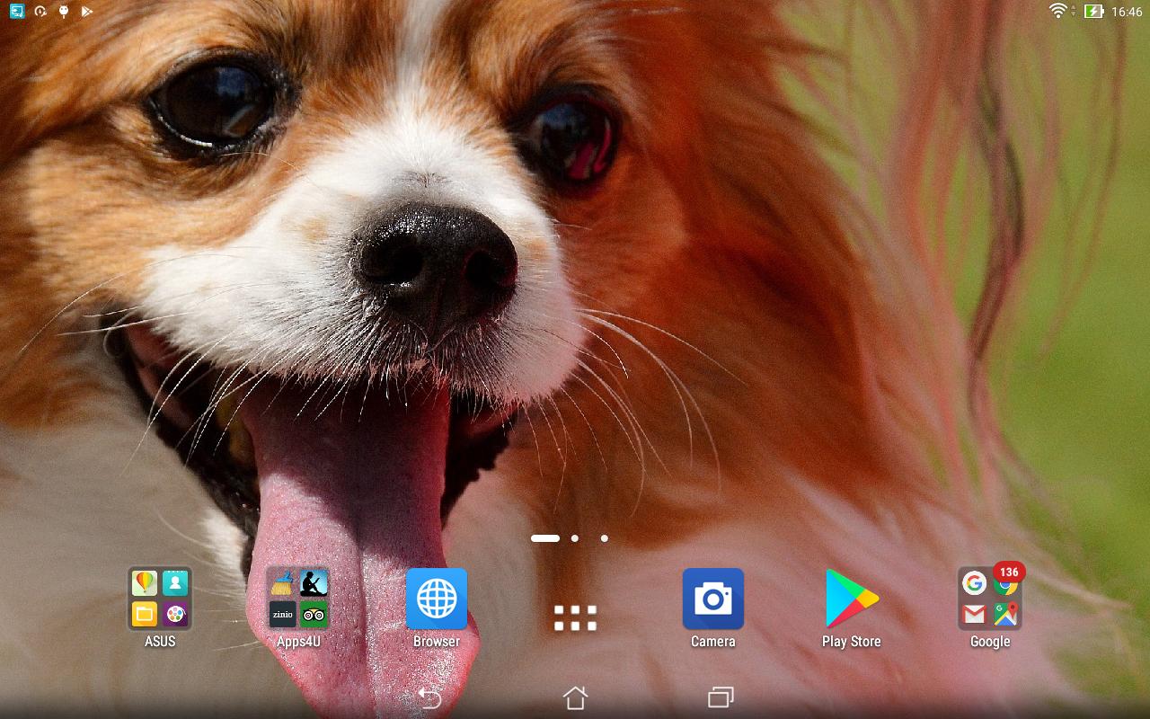 Descarga de APK de Chihuahua fondo animado para Android Descarga de APK de Chihuahua fondo animado para Android