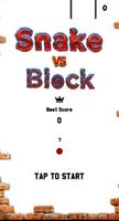 Blocks Vs Snake Affiche