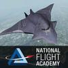 ”National Flight Academy