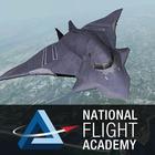 National Flight Academy Zeichen