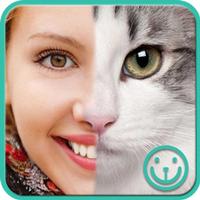 nFace - Best Face Morphing screenshot 1