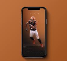 NFL Wallpapers _ Pics and Schedules 海报