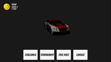 Rally Challenge captura de pantalla 2