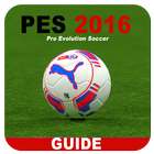 Icona Guides PeS 2016