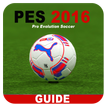 Guides PeS 2016