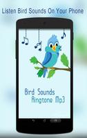 Bird Sounds Ringtone Mp3 পোস্টার