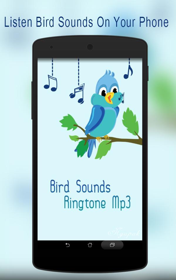 Приложения Bird. Bird Sound. Listen to the Birds. Bird loop рингтон.