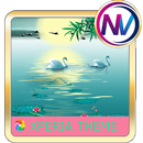 bird swan Xperia theme APK