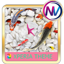 Koi fish @Xperia theme APK