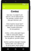 Serdar Ortaç - Cımbız şarkı sözleri Ekran Görüntüsü 1