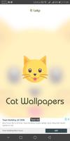 Cat Wallpaper 4K 2K FullHD HD - We love cat bài đăng
