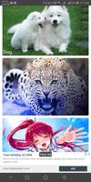 Cat Wallpaper 4K 2K FullHD HD - We love cat ảnh chụp màn hình 2