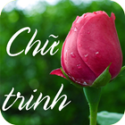 Chu Trinh - Truyện Chữ Trinh (Rất Hay) আইকন