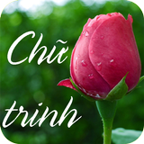 Chu Trinh - Truyện Chữ Trinh (Rất Hay) icon