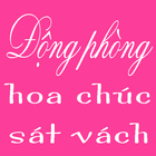 Icona Dong Phong Hoa Chuc Sat Vach - Ngon Tinh Hay Nhat