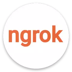 ngrok