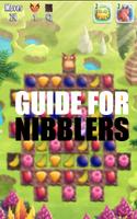 پوستر Tips guide for rovio nibblers
