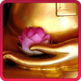 Chú Đại Bi ícone