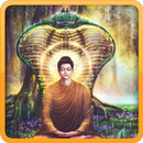 Cuộc Đời Đức Phật (Truyện Thơ) APK