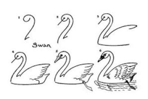 Easy Drawing Lesson: Swan screenshot 2