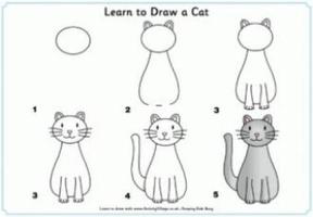 Learn How To Draw A Cat Affiche