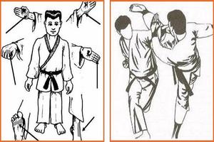 2 Schermata Martial Arts techniques - Kỹ thuật võ thuật tự vệ