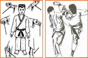 Martial Arts techniques - Kỹ thuật võ thuật tự vệ Ekran Görüntüsü 2