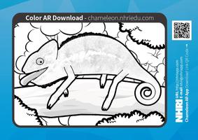 Chameleon 4D screenshot 3