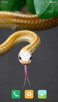 1 Schermata HD Snake Wallpapers