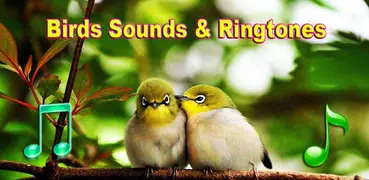 pájaros suena tonos de llamada