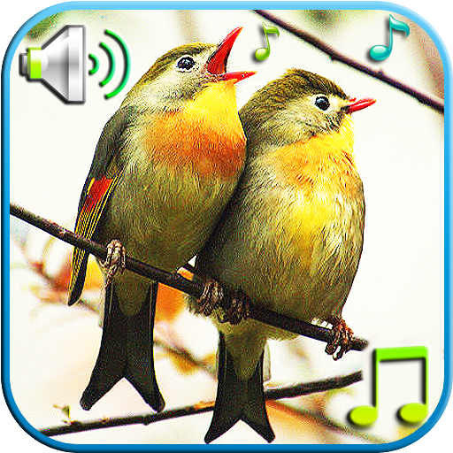 pájaros suena tonos de llamada