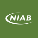 NIAB Network APK