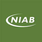 NIAB Network icône