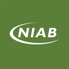 NIAB Network icon