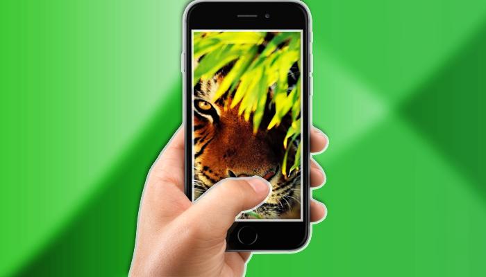 Unduh 900 Wallpaper Dinding Hidup Terbaru Unduh 900 Wallpaper Dinding Hidup Terbaru
