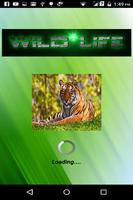 eWildLife Poster