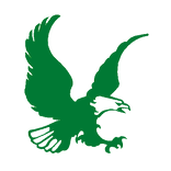 Nigeria World Cup Team