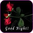 ”Good Night Messages And wishes Images Gif