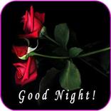 Good Night Messages And wishes Images Gif