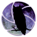 Ghost Cam APK