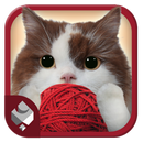 Cat Rolls-APK